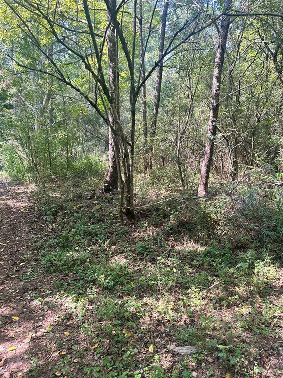 7330 Frix Road Cumming, GA 30028 - Photo 2 of 12 a view of a forest with lots of trees
