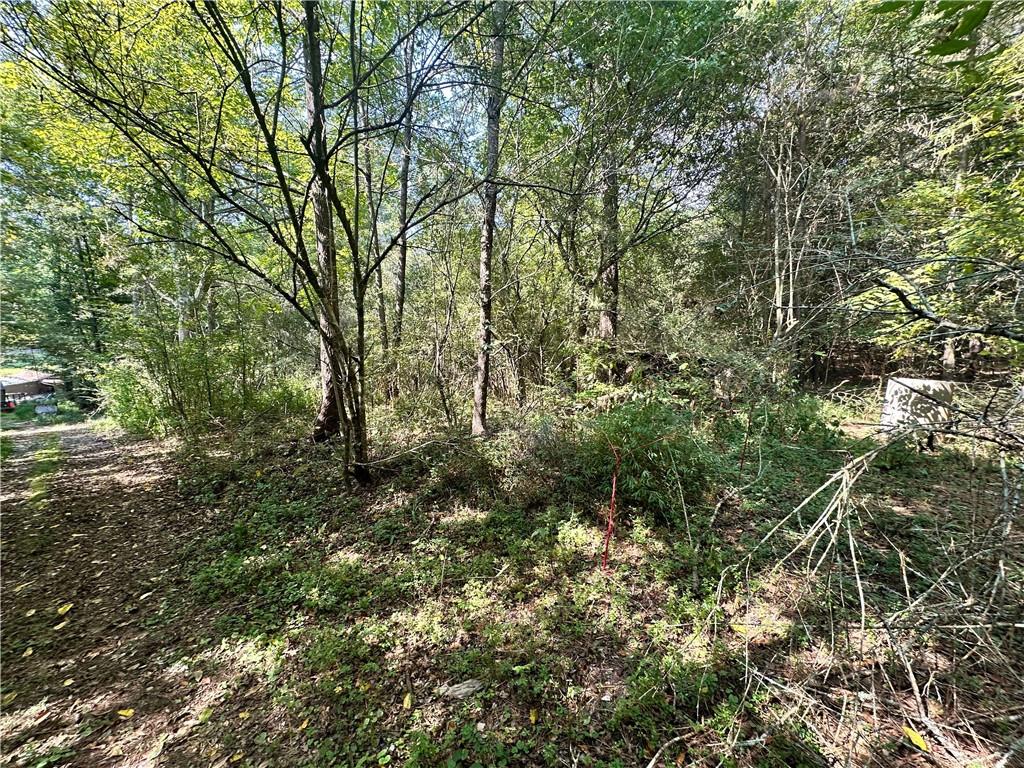 7330 Frix Road Cumming, GA 30028 - Photo 3 of 12 a view of forest