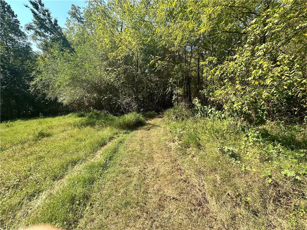7330 Frix Road Cumming, GA 30028 - Photo 6 of 12 a view of outdoor space and a yard