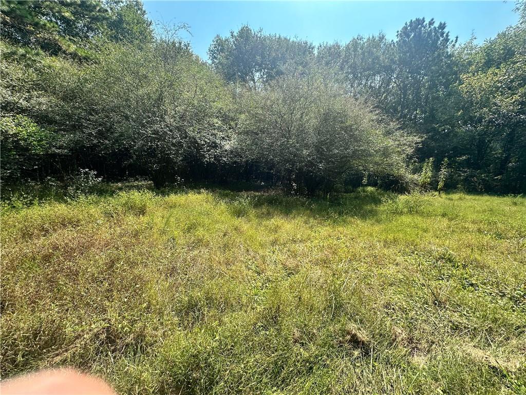 7330 Frix Road Cumming, GA 30028 - Photo 7 of 12 a view of outdoor space and yard