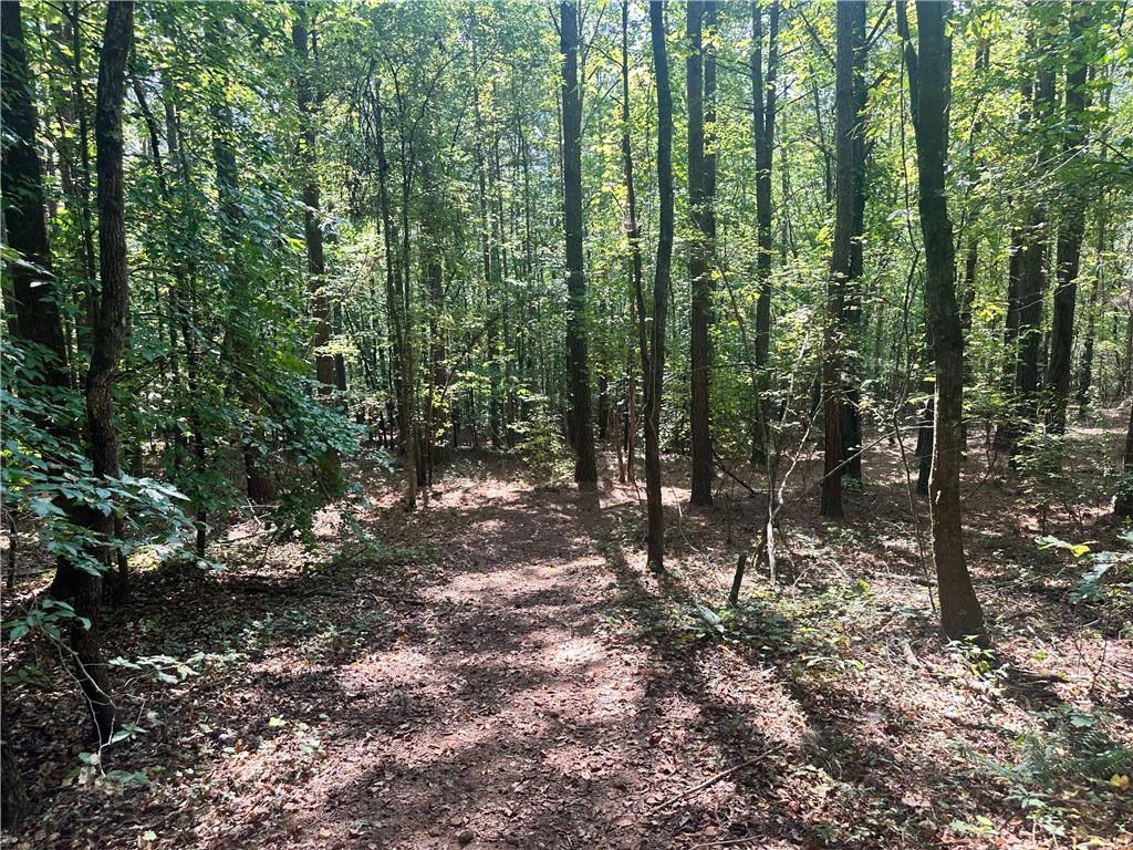 7330 Frix Road Cumming, GA 30028 - Photo 8 of 12 a view of forest