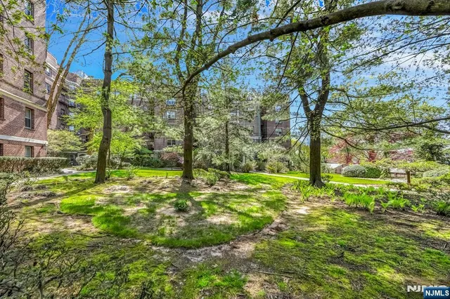 a view of backyard with tree