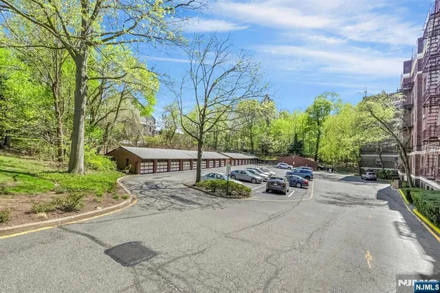 a view of a back yard of the house with potted plants and trees