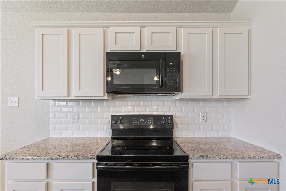 1030 Spring Terrace Loop Temple, TX 76502 - Photo 9 of 25 Gallery Image 9