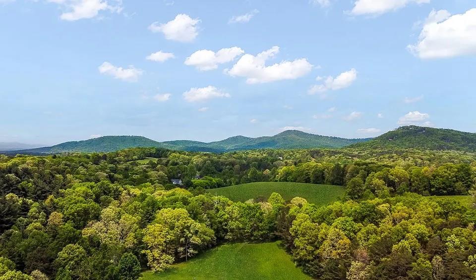 233 Ivy Ridge Ellijay, GA 30536 - Photo 15 of 36 Gallery Image 15