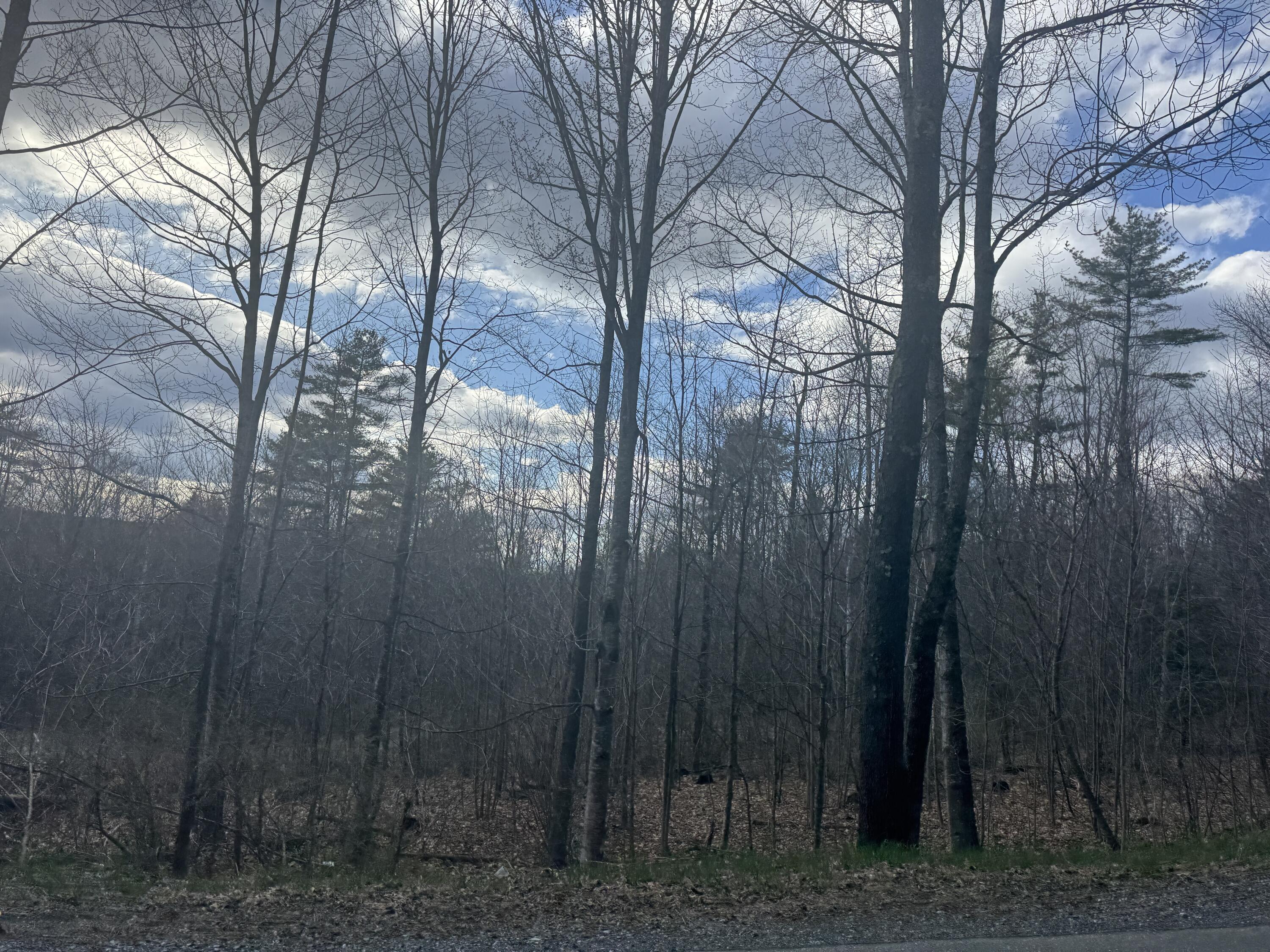 68 Nelson Road Vassalboro, ME 04989 - Photo 15 of 19 South lot