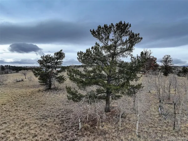 a view of an outdoor space and a yard