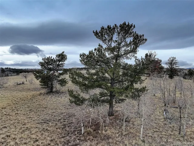 a view of an outdoor space and a yard