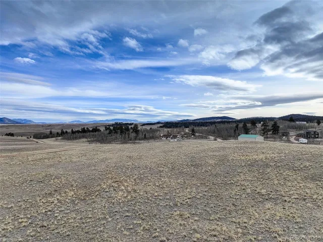 a view of a large body of water with lots of trees