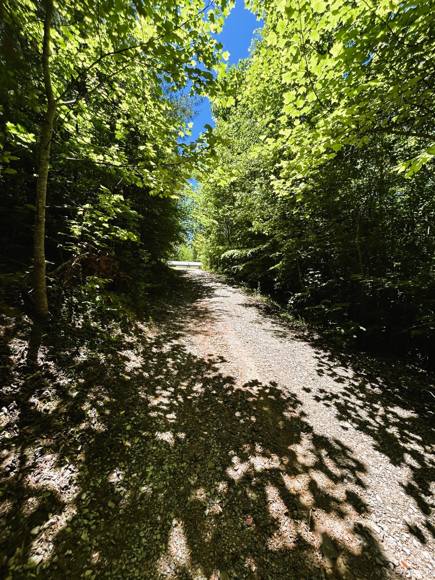 161 Willie Shell Road Reliance, TN 37369 - Photo 48 of 70 willie upper driveway to the workshop
