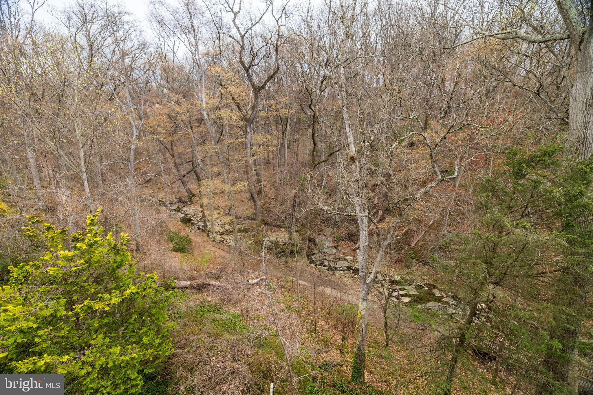 3632 36th Road North Arlington, VA 22207 - Photo 107 of 108 Trails to the Potomac