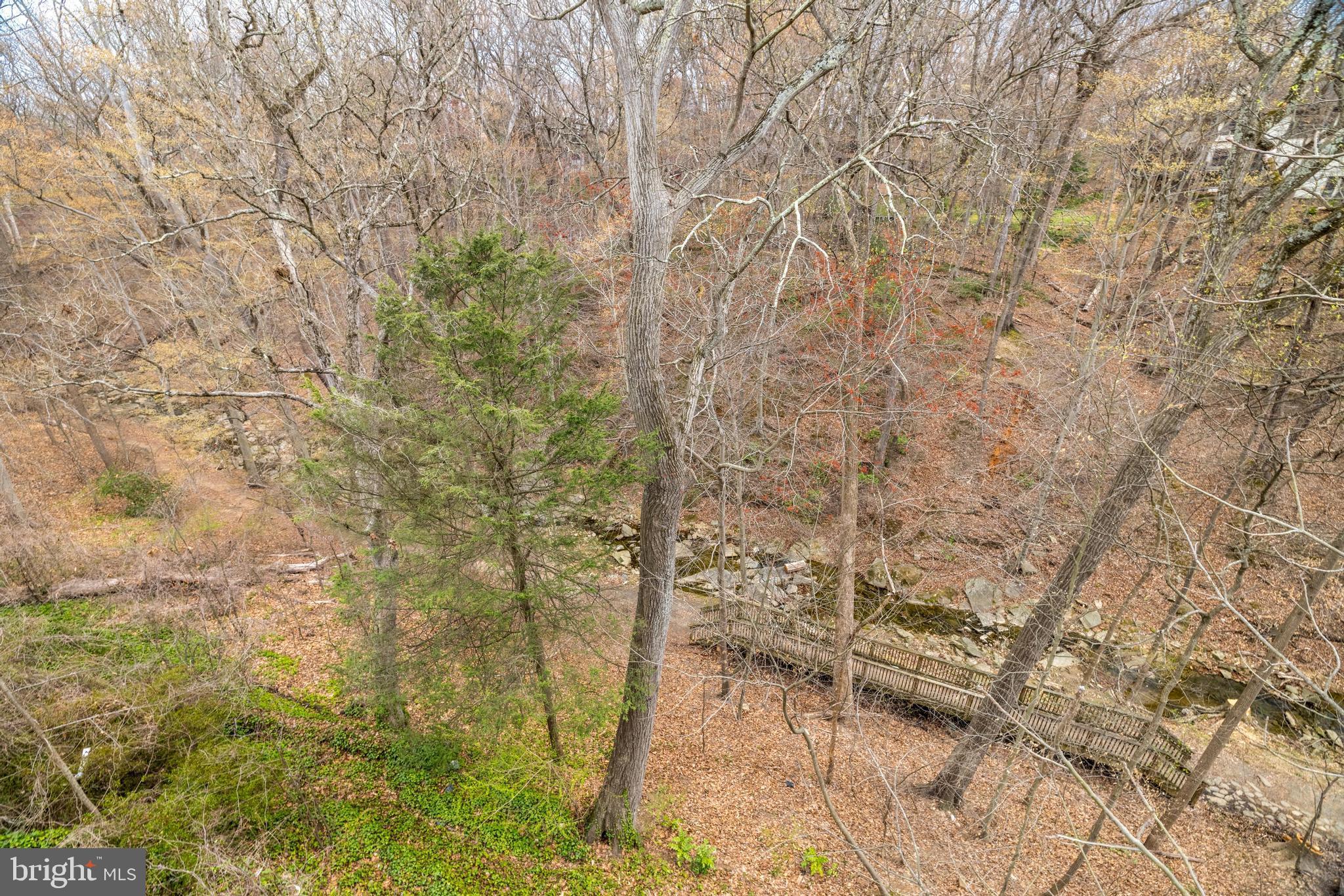 3632 36th Road North Arlington, VA 22207 - Photo 108 of 108 View of the creek and trails to the Potomac!