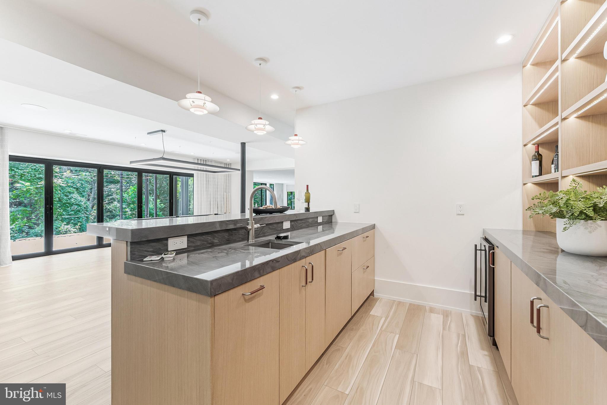 3632 36th Road North Arlington, VA 22207 - Photo 83 of 108 Sparkling water on tap & glass rinser