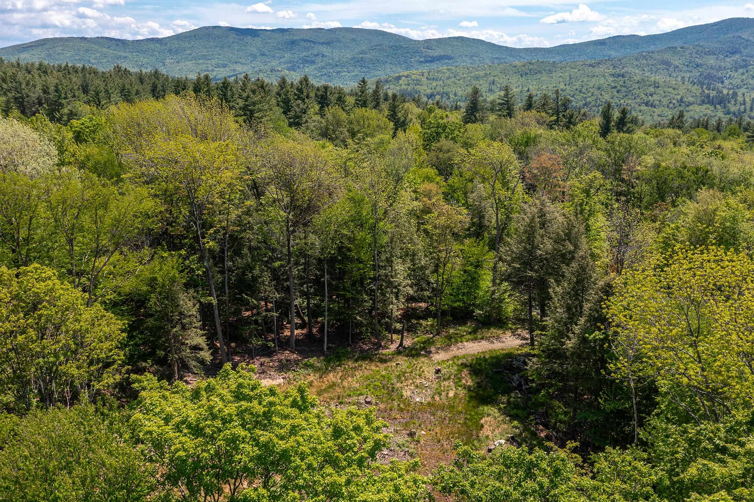 585 Sawmill Road West Wardsboro, VT 05360 - Photo 3 of 15