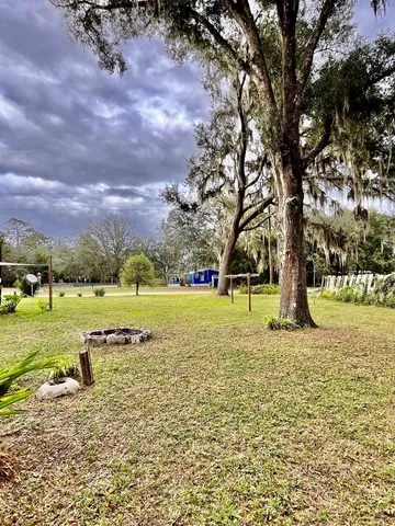 a view of a yard with plants and trees