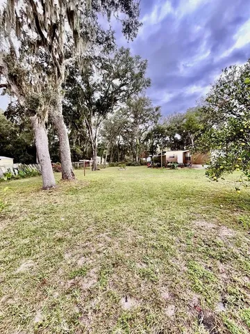 a tree in the middle of a yard