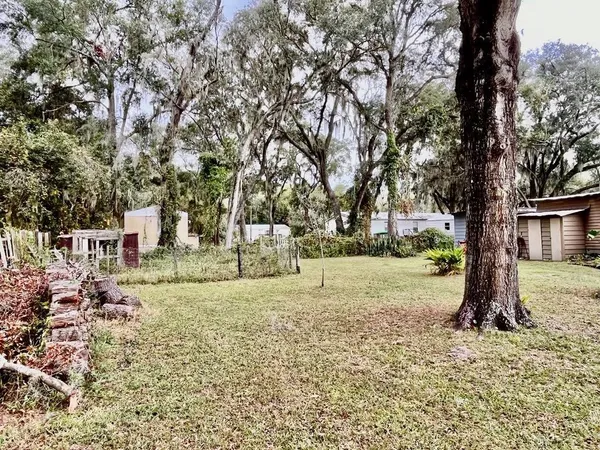 a view of a park with large trees