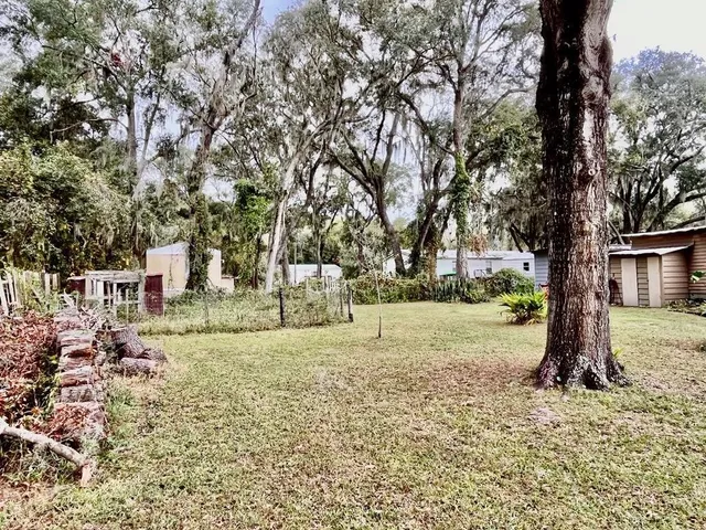 a view of a park with large trees