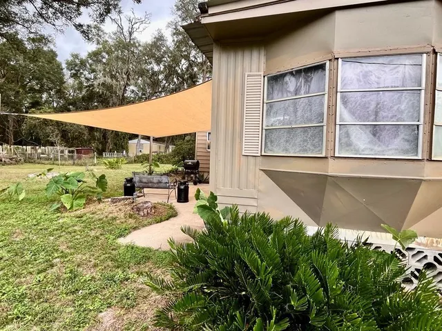 a view of a backyard with plants and large tree