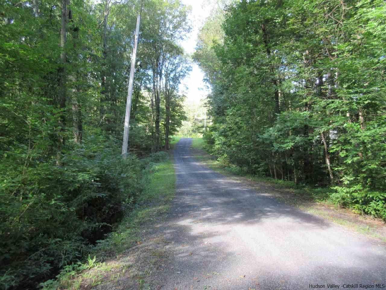 536 Joel M Austin Road Cairo, NY 12413 - Photo 20 of 21 a view of a forest with trees in the background