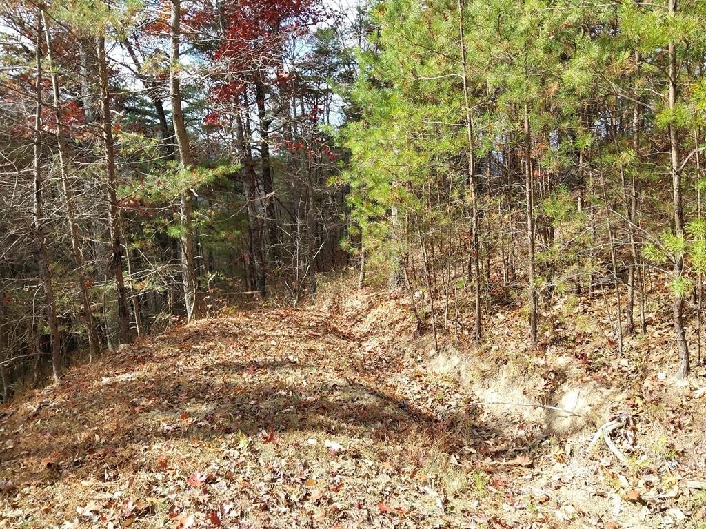 4 Happy Hollow Road Sevierville, TN 37862 - Photo 18 of 37 Gallery Image 18