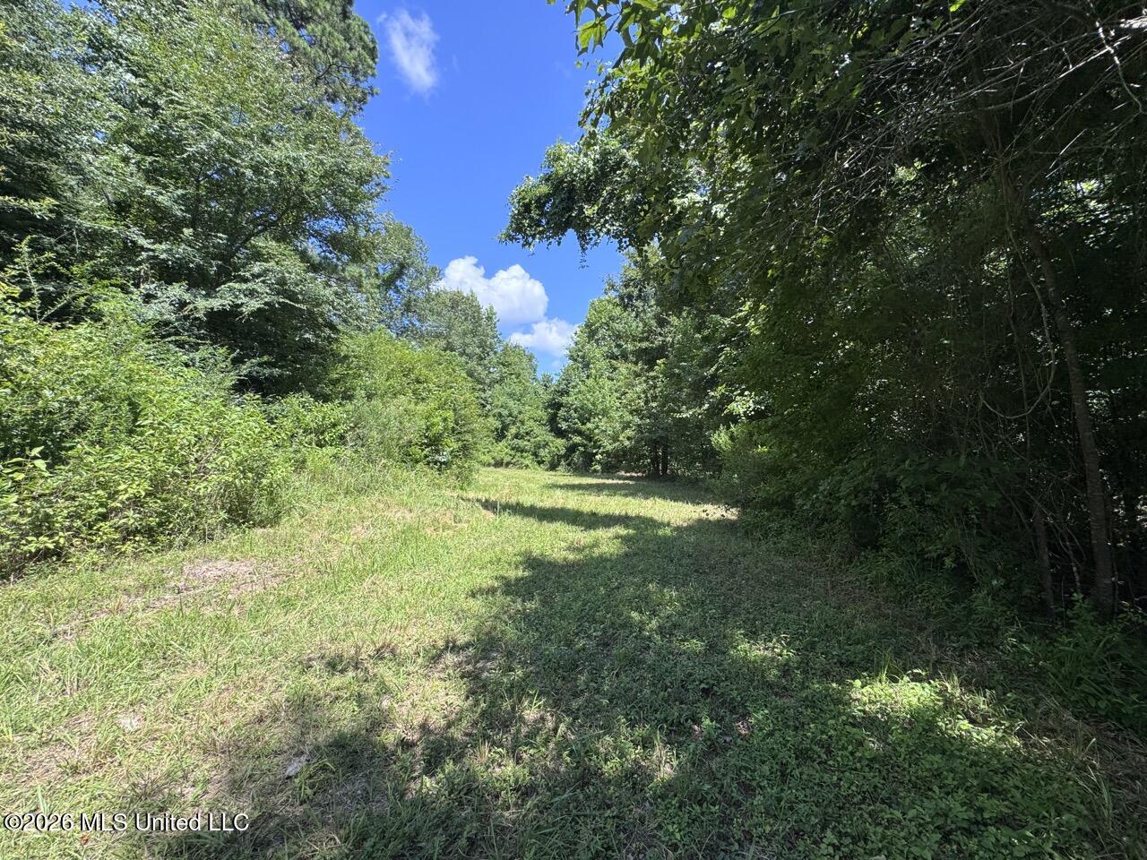 Pam Road Aimwell, LA 71401 - Photo 22 of 38 IMG_3861 Large