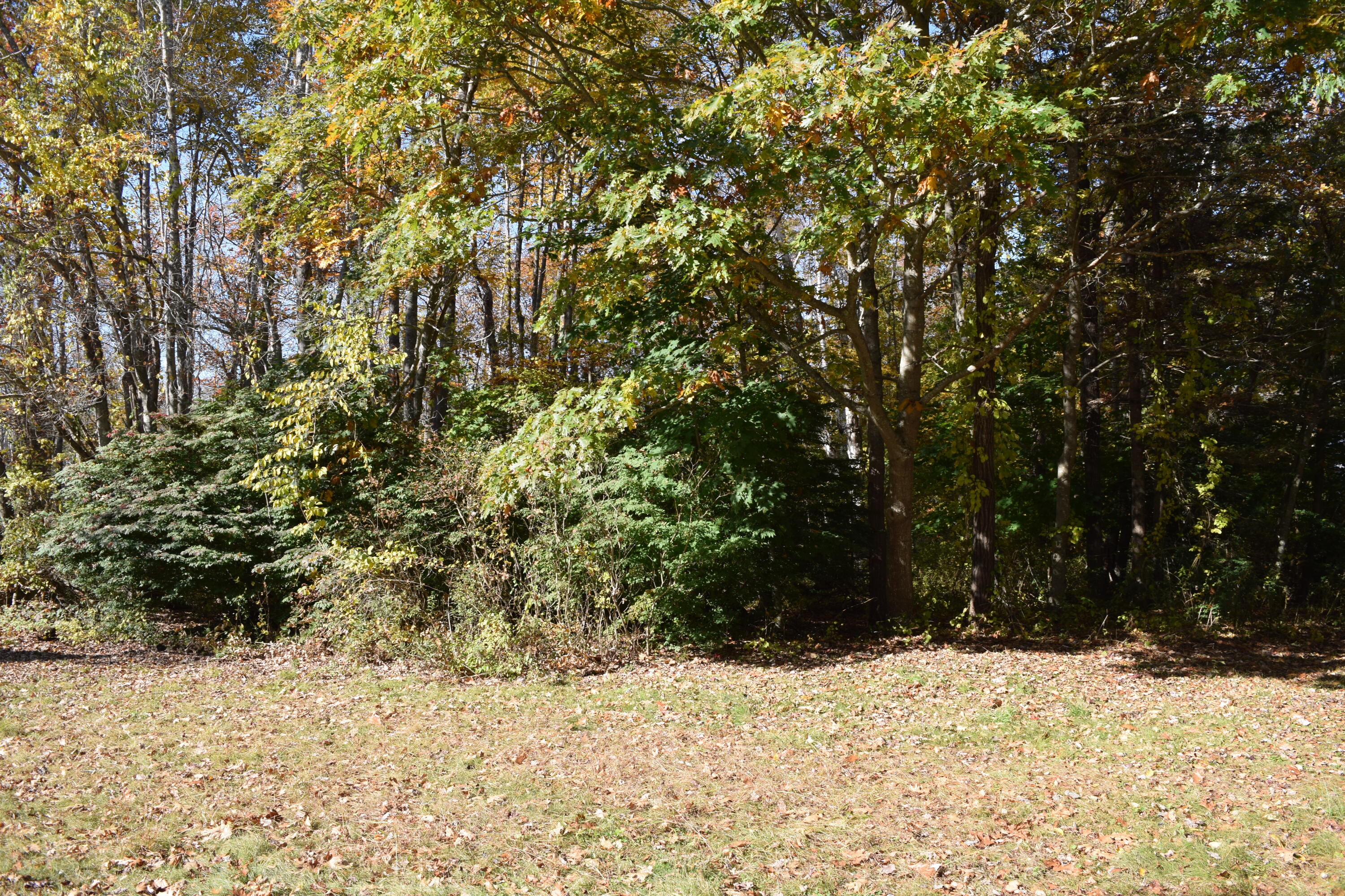 1668 Harpswell Neck Road Harpswell, ME 04079 - Photo 46 of 58 DSC_0876