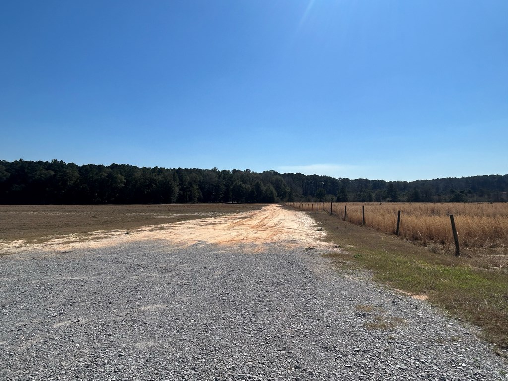 15-ac Webb Road Dothan, AL 36301 - Photo 11 of 33