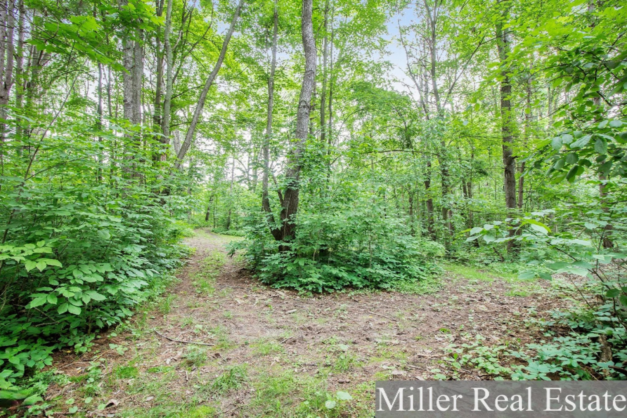 352 Pifer Road Dowling, MI 49050 - Photo 28 of 32 _MG_5665-