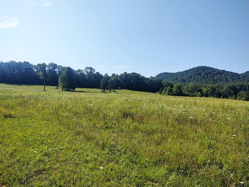 1200 Clearfork Road Morehead, KY 40351 - Photo 59 of 86 Photo 59