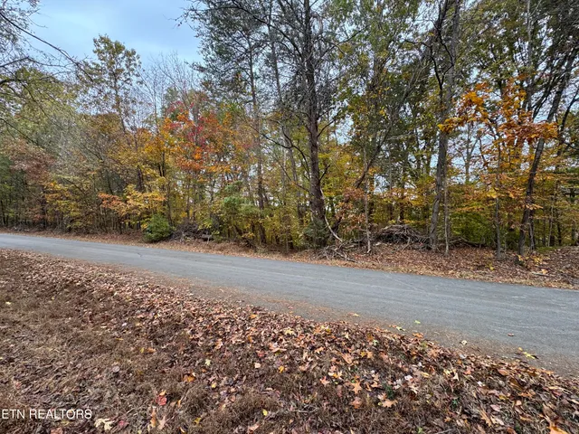 $15,000 | Mountain View Ln Lane, Baneberry, TN 37890