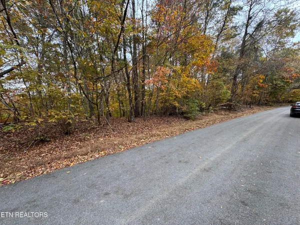 $15,000 | Mountain View Ln Lane, Baneberry, TN 37890
