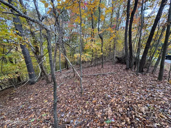 $15,000 | Mountain View Ln Lane, Baneberry, TN 37890