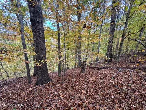 $15,000 | Mountain View Ln Lane, Baneberry, TN 37890