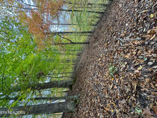 $15,000 | Mountain View Ln Lane, Baneberry, TN 37890