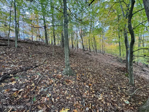 $15,000 | Mountain View Ln Lane, Baneberry, TN 37890