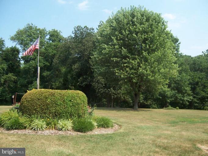 3227 Dublin Road Street, MD 21154 - Photo 22 of 29 Wooded View / Acreage 3