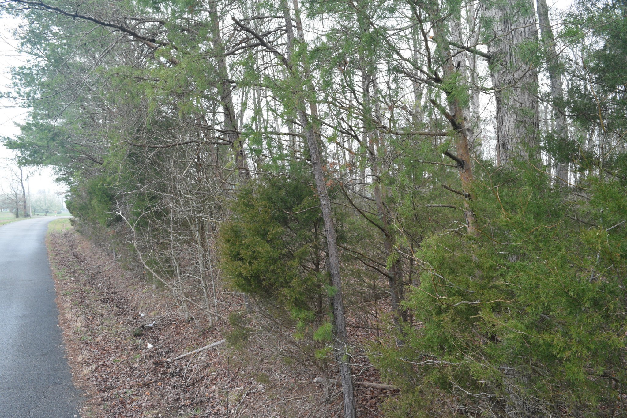 0 Howard Road Decatur, TN 37322 - Photo 5 of 12