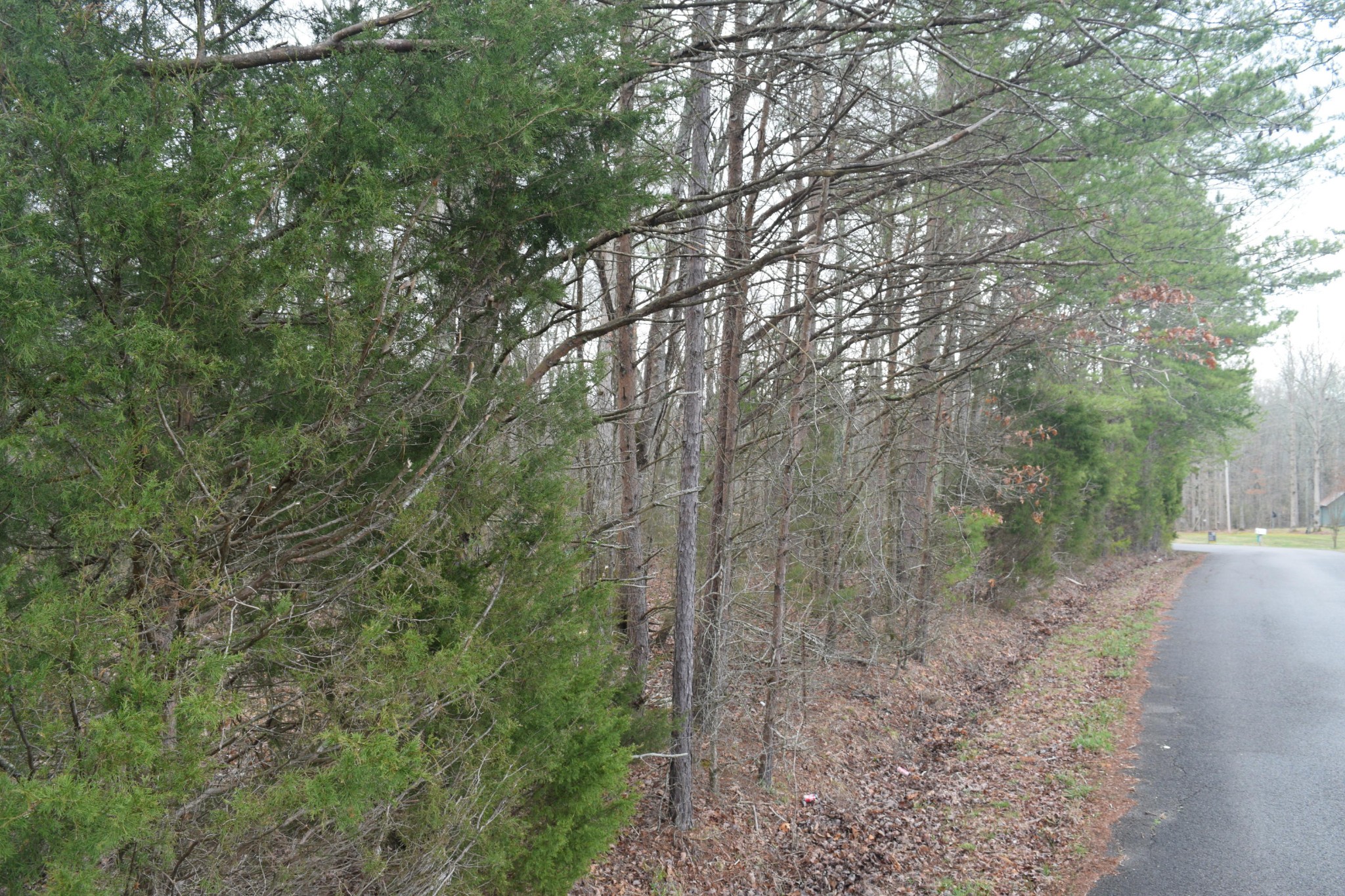 0 Howard Road Decatur, TN 37322 - Photo 9 of 12