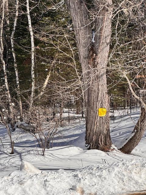 M2-l18 Long Falls Dam Road North New Portland, ME 04961 - Photo 13 of 16 IMG_5022