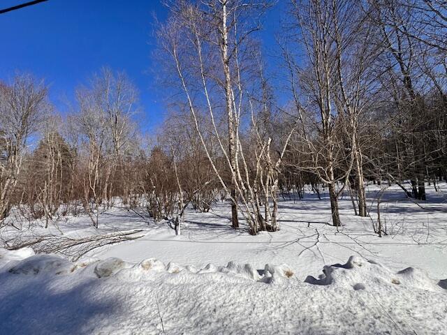 M2-l18 Long Falls Dam Road North New Portland, ME 04961 - Photo 15 of 16 IMG_5020