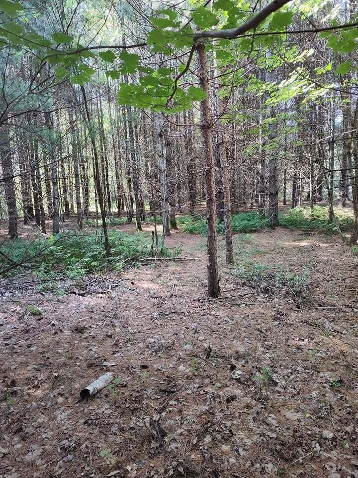 M2-l18 Long Falls Dam Road North New Portland, ME 04961 - Photo 7 of 16 529708757_1072699371695870_2120976039035