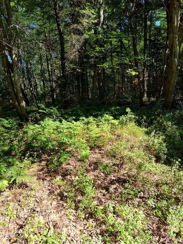 M2-l18 Long Falls Dam Road North New Portland, ME 04961 - Photo 10 of 16 530719587_1234931124986482_6452460542824