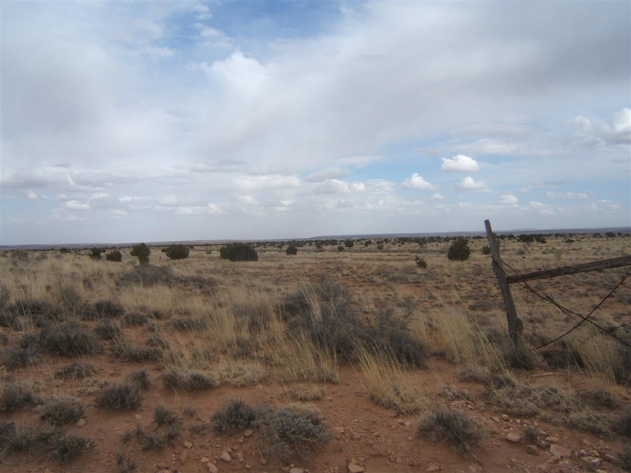 8 St Snowflake Az 85937 Snowflake, AZ 85937 - Photo 1 of 13