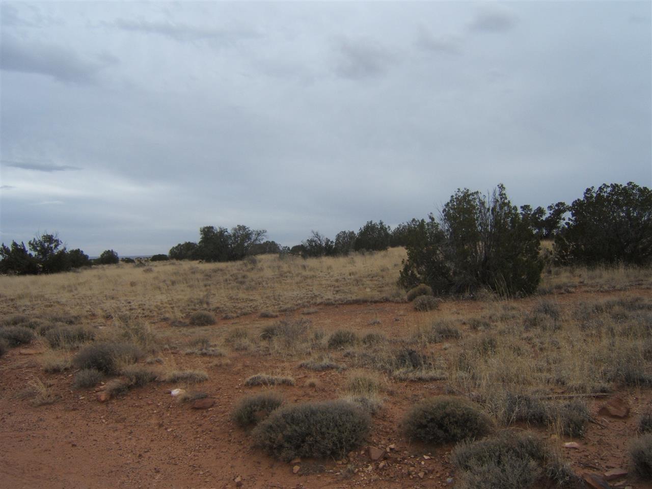 8 St Snowflake Az 85937 Snowflake, AZ 85937 - Photo 11 of 13