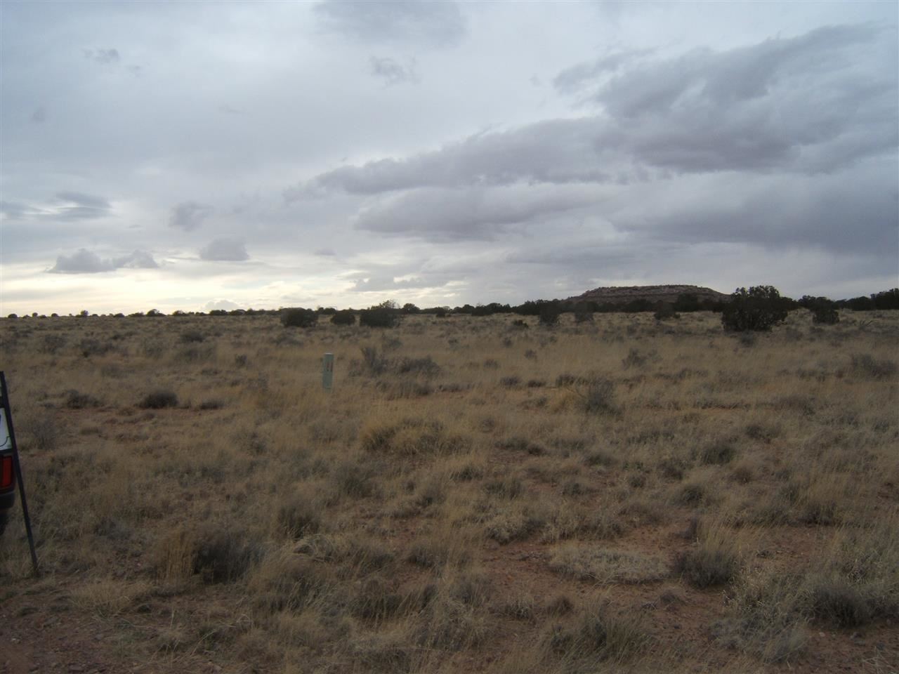 8 St Snowflake Az 85937 Snowflake, AZ 85937 - Photo 12 of 13