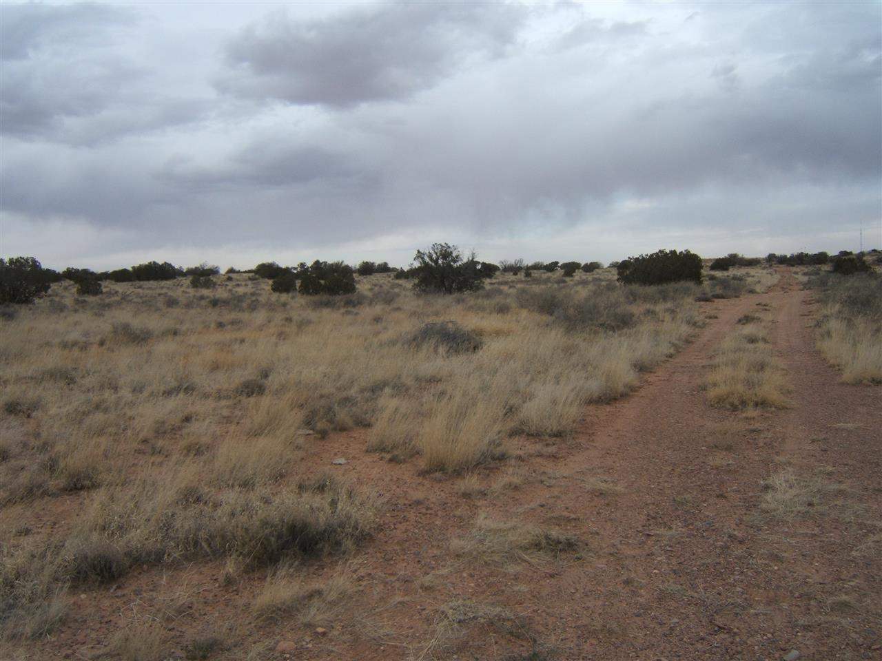 8 St Snowflake Az 85937 Snowflake, AZ 85937 - Photo 13 of 13