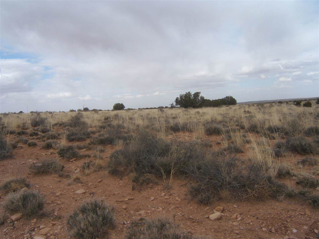 8 St Snowflake Az 85937 Snowflake, AZ 85937 - Photo 2 of 13