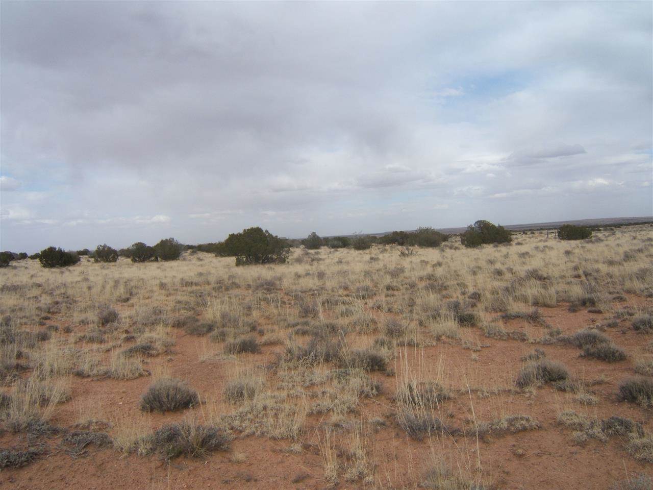 8 St Snowflake Az 85937 Snowflake, AZ 85937 - Photo 3 of 13