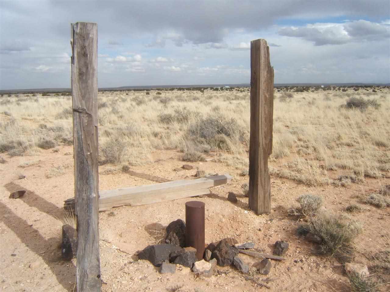 8 St Snowflake Az 85937 Snowflake, AZ 85937 - Photo 5 of 13